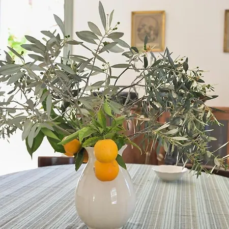 Santa Friday Villa *